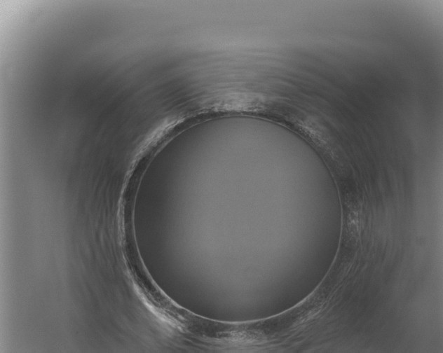 X0000060240678200511041257