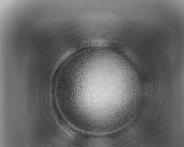 X0000060240679200511041257