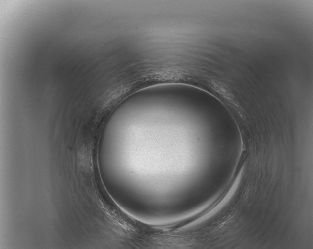 X0000060240681200511041257