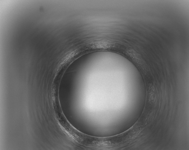 X0000060240683200511041257