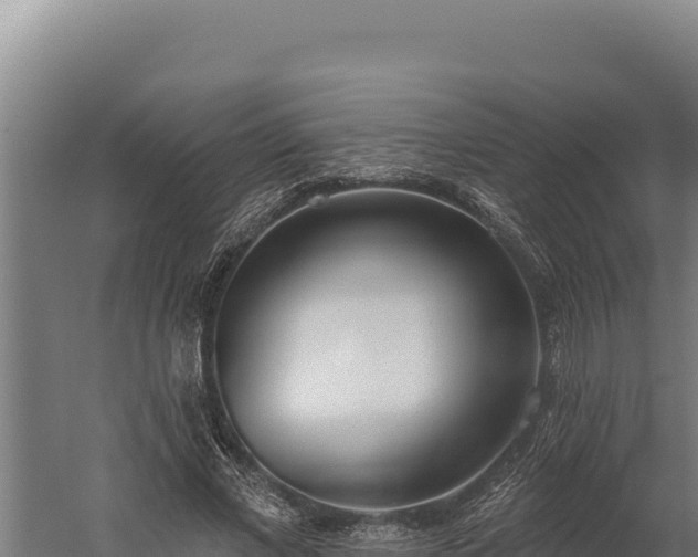 X0000060240685200511041257