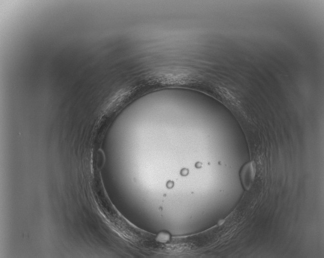 X0000060240686200511041257