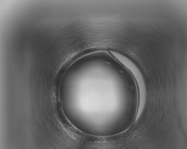 X0000060240688200511041257