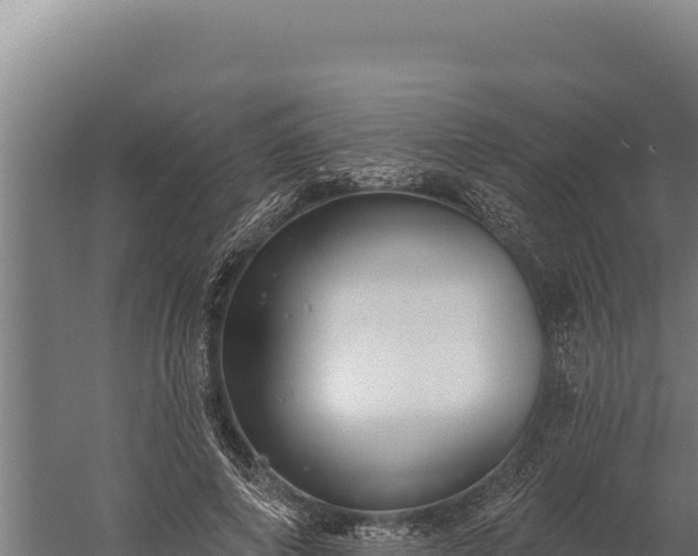 X0000060240690200511041257