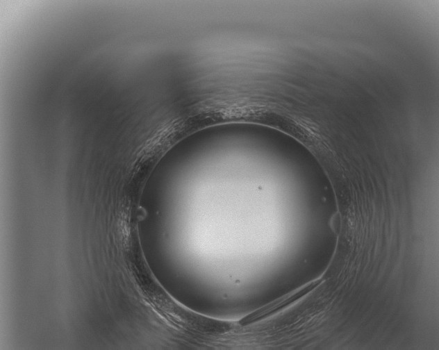 X0000060240691200511041257