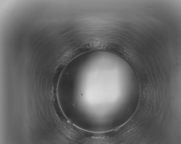 X0000060240693200511041257