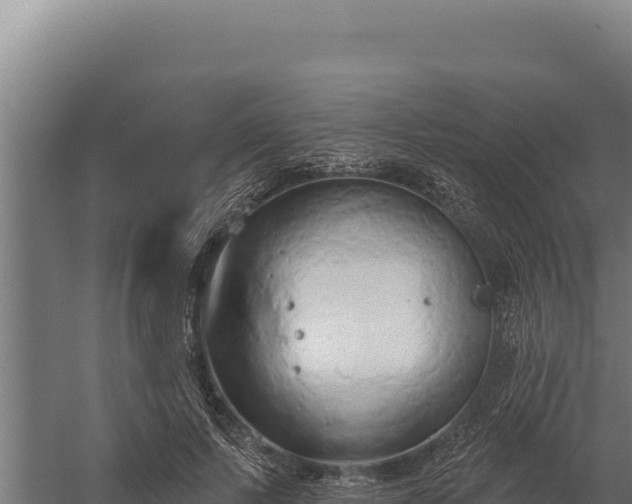 X0000060240695200511041257