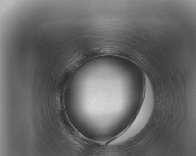 X0000060240696200511041257