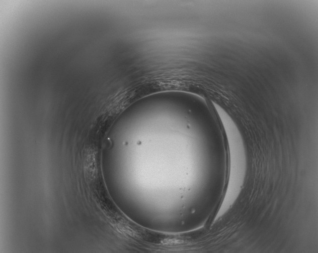 X0000060240699200511041257