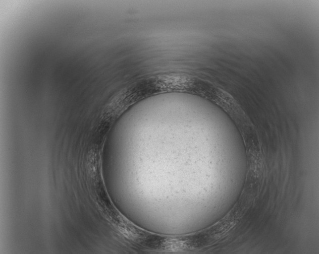 X0000060240701200511041257