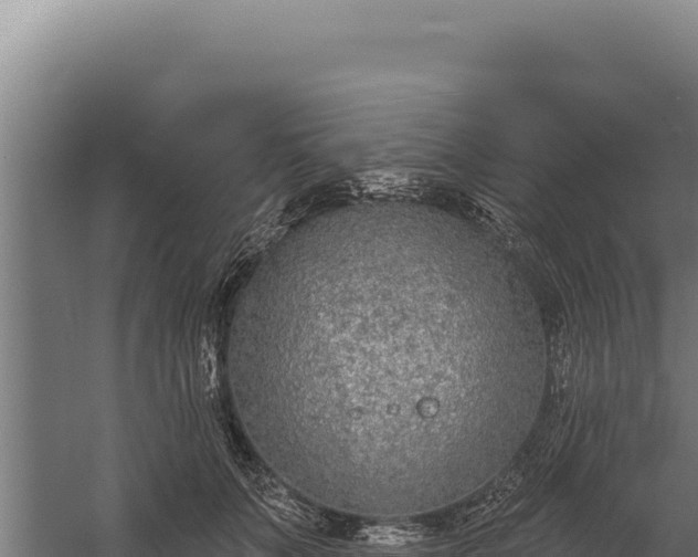 X0000060240703200511041257