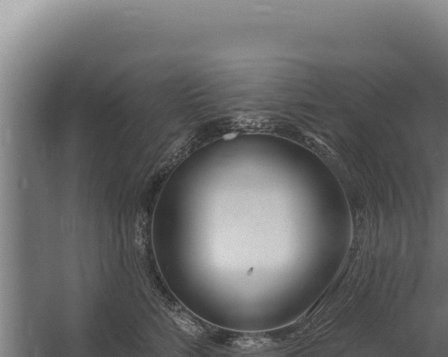 X0000060240712200511041257