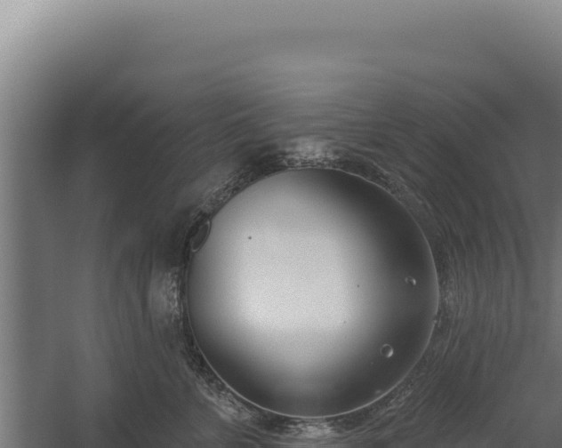 X0000060240715200511041257