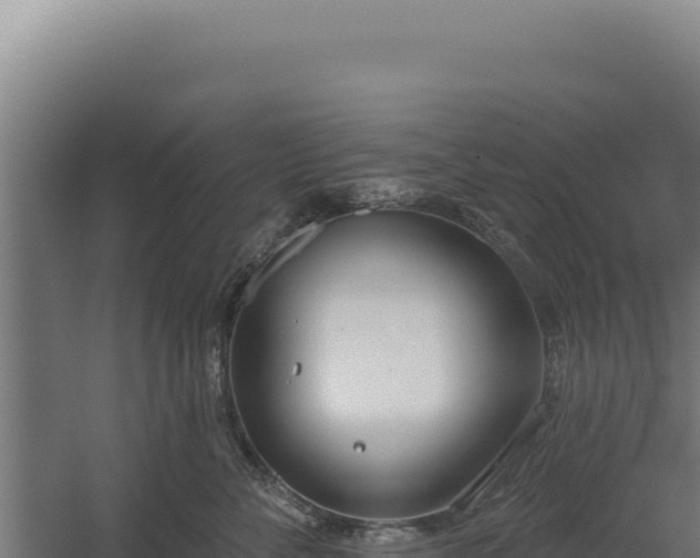 X0000060240716200511041257