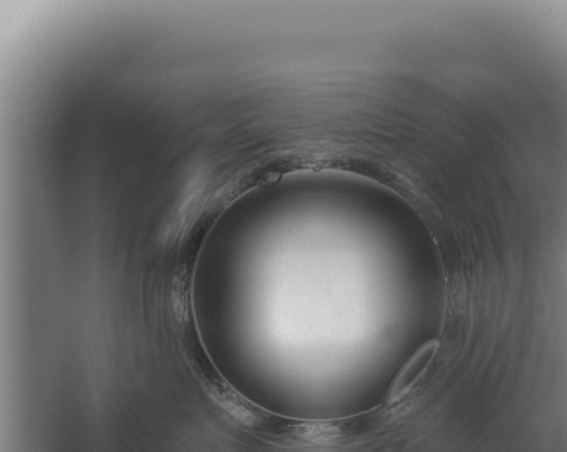 X0000060240719200511041257