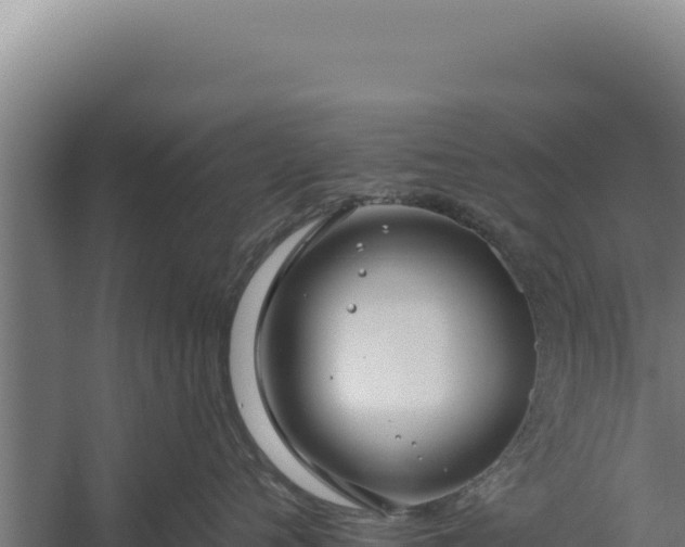 X0000060240720200511041257