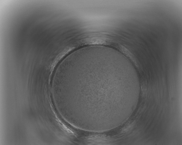 X0000060240721200511041256