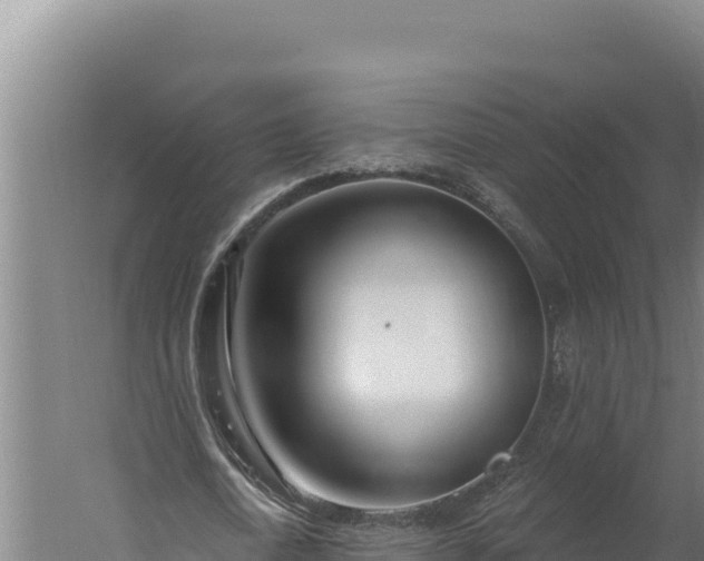 X0000060240722200511041256