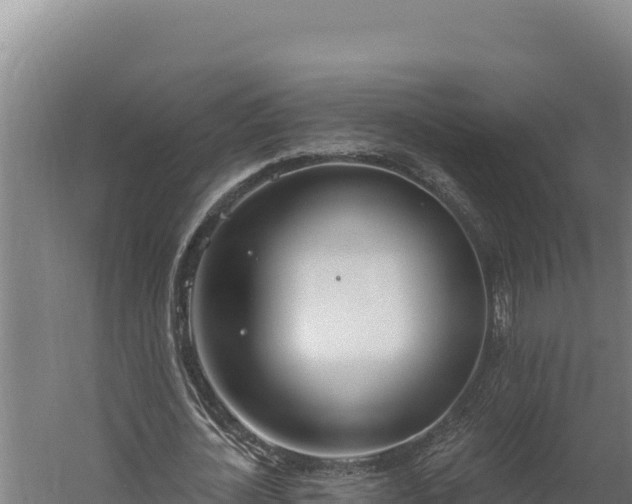 X0000060240724200511041256