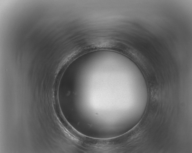 X0000060240725200511041256