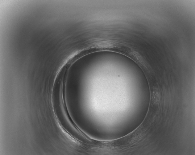 X0000060240726200511041256