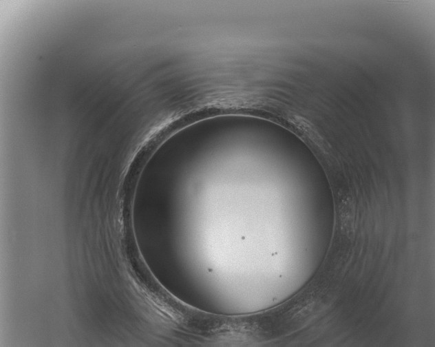 X0000060240727200511041256