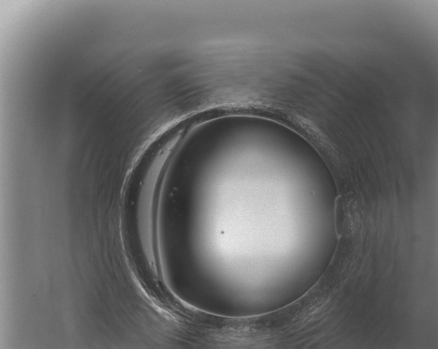 X0000060240728200511041256