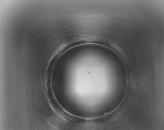 X0000060240730200511041256