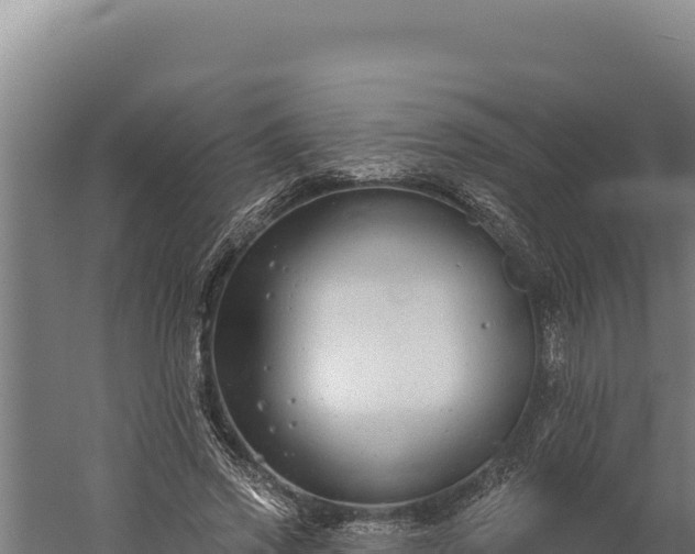 X0000060240733200511041256