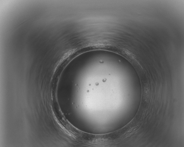 X0000060240734200511041256