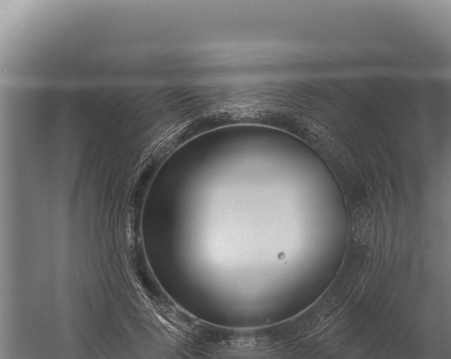 X0000060240740200511041256