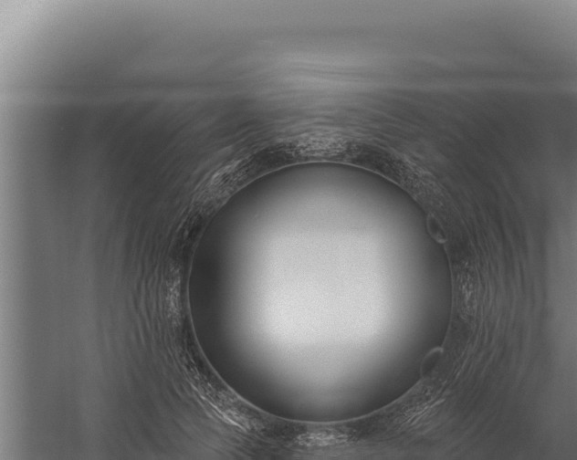 X0000060240745200511041256