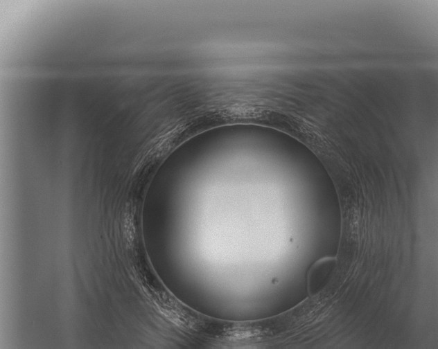 X0000060240746200511041256