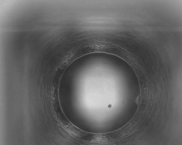 X0000060240750200511041256