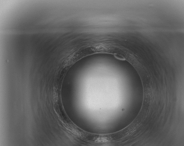 X0000060240751200511041256