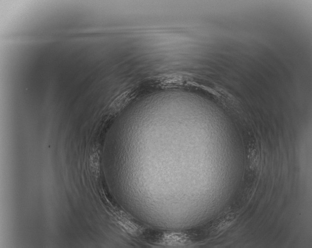 X0000060240753200511041256