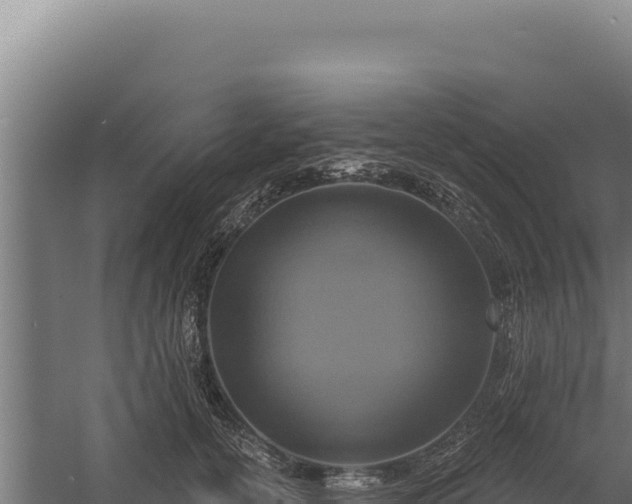 X0000060240754200511041257