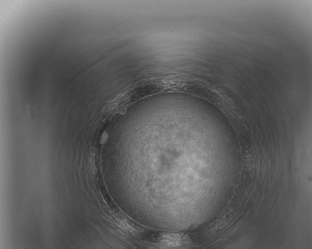 X0000060240757200511041257