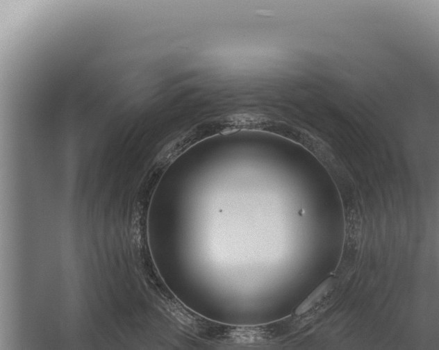 X0000060240762200511041257