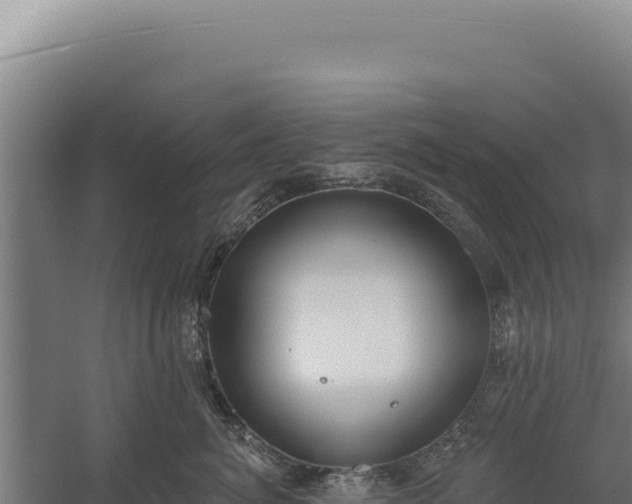 X0000060240764200511041257