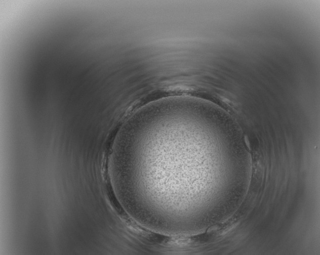 X0000060240767200511041257