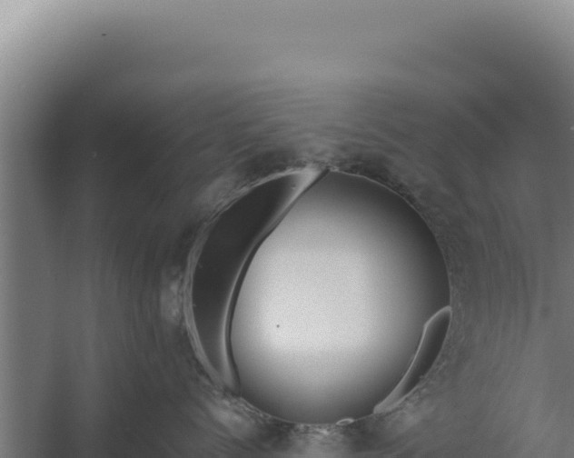 X0000060240768200511041257