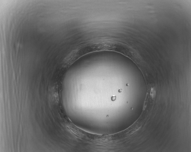 X0000060240771200511041256