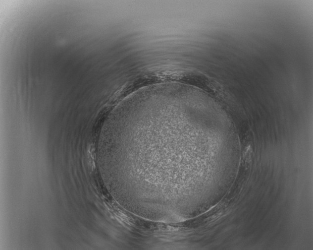 X0000060240772200511041256