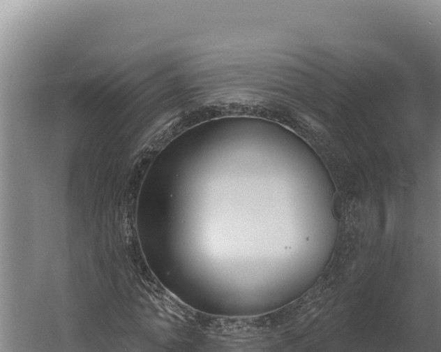 X0000060240774200511041256