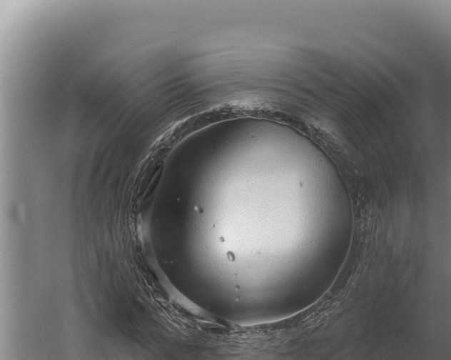 X0000060240776200511041256