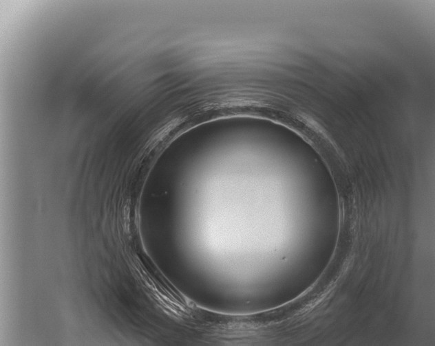 X0000060240777200511041256