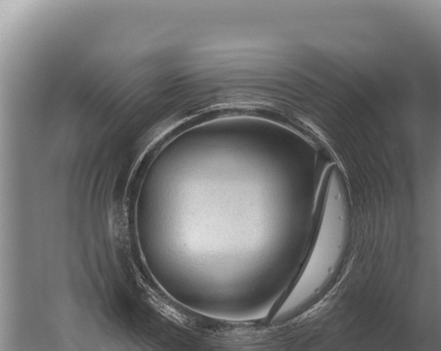 X0000060240779200511041256