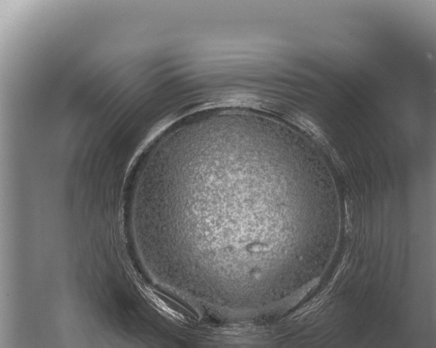 X0000060240780200511041256