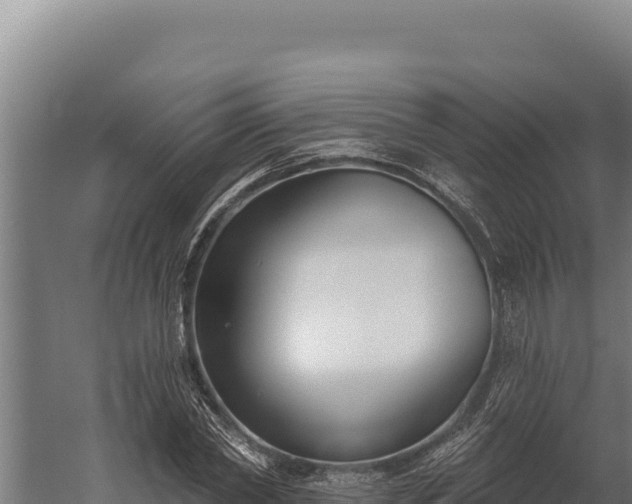 X0000060240782200511041256